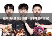 德甲球员特点分析图（德甲球星有哪些）