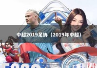 中超2019足协（2019年中超）